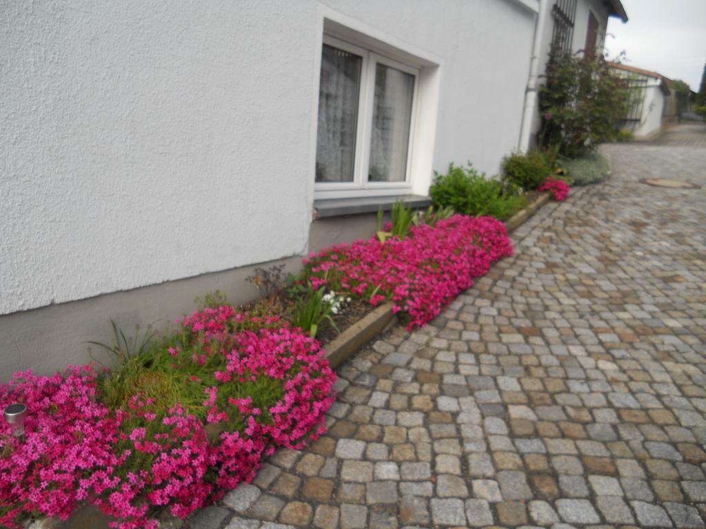Ferienhaus Zittau Oberlausitz & Ferienwohnung Am Hamann Berg Exterior foto